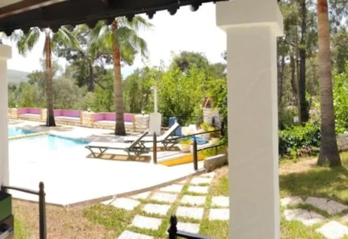 Olympos Kekikhan House *